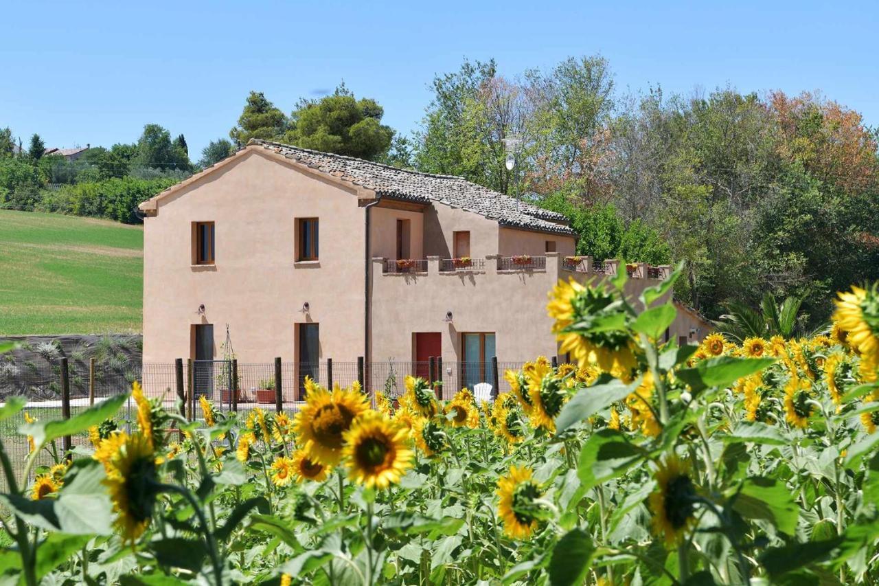 Casa Montefiore 13 Iris Lt Nella Tranquilla Campagna Marchigiana Ancona Eksteriør billede